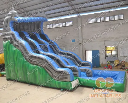 Dolphin water slide