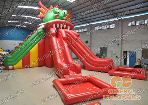 Dragon slide with pool