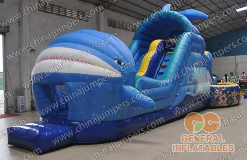 Shark water slide